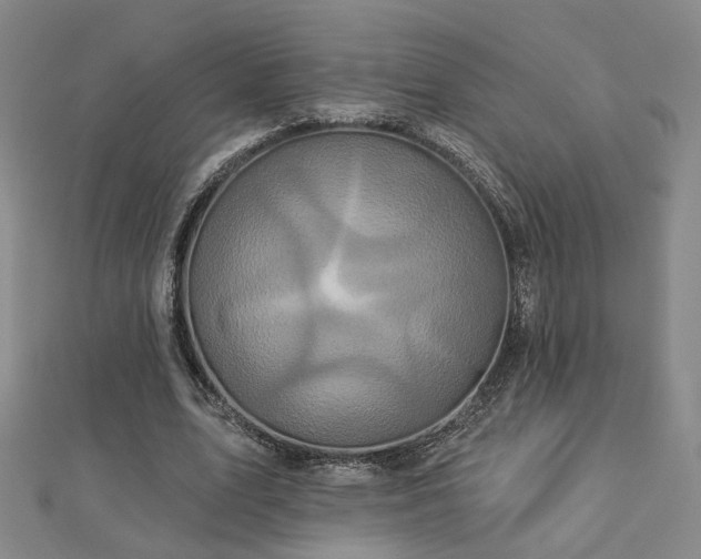 X0000112890583200908211455