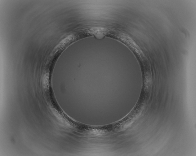 X0000112890585200908211455