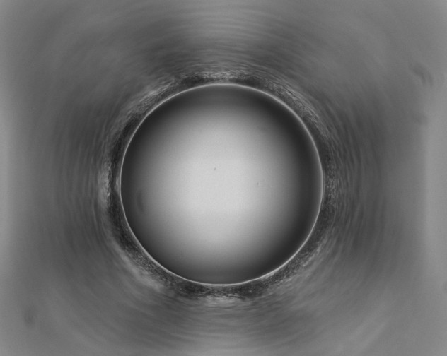 X0000112890586200908211455