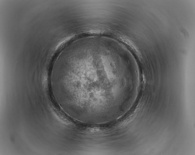 X0000112890588200908211455