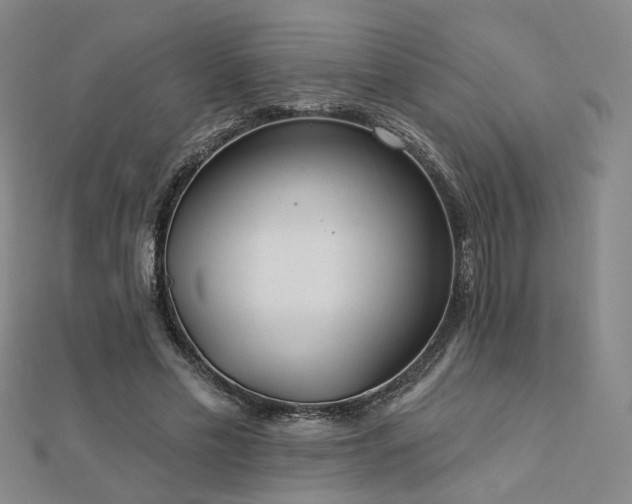 X0000112890589200908211455
