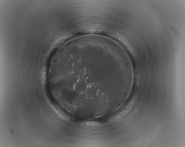 X0000112890590200908211455