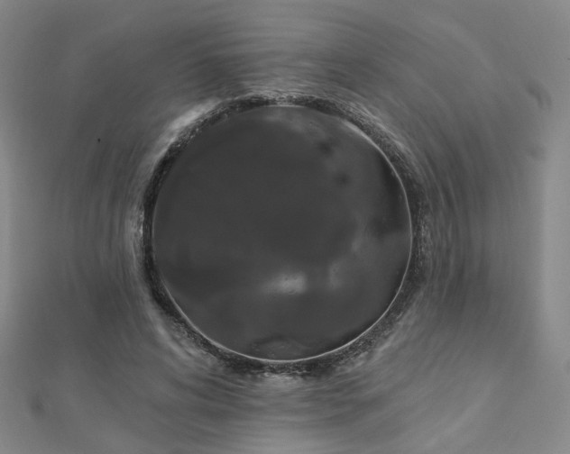 X0000112890592200908211455