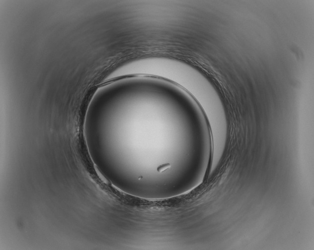 X0000112890593200908211455