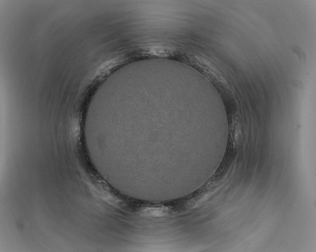X0000112890595200908211455