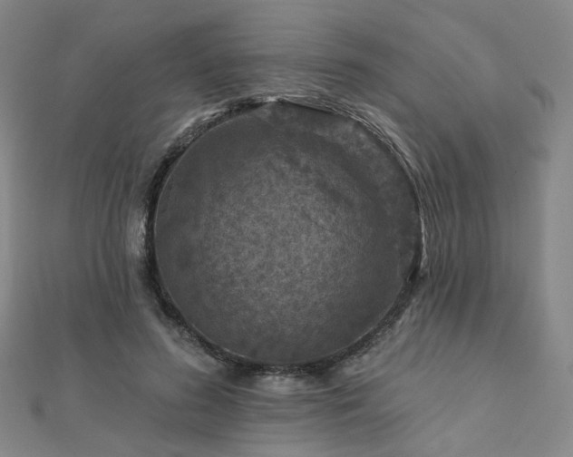 X0000112890596200908211455