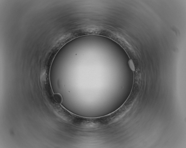 X0000112890597200908211455