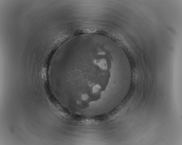 X0000112890598200908211455