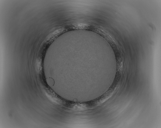 X0000112890599200908211455