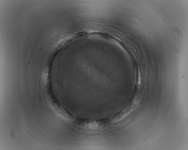 X0000112890600200908211455