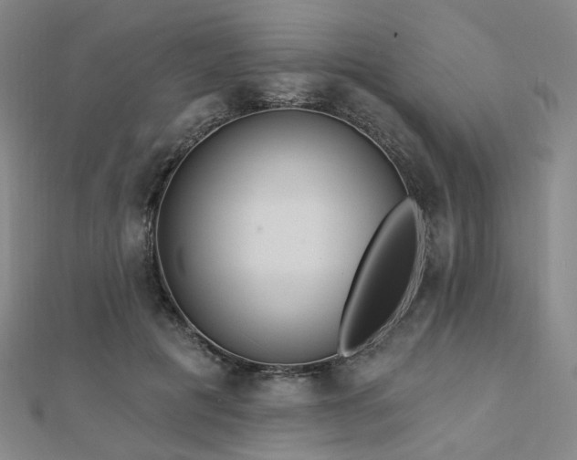X0000112890601200908211455