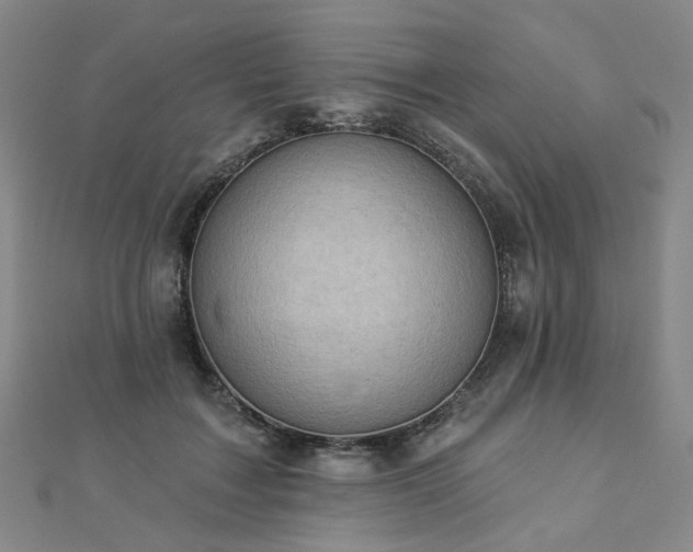 X0000112890603200908211455