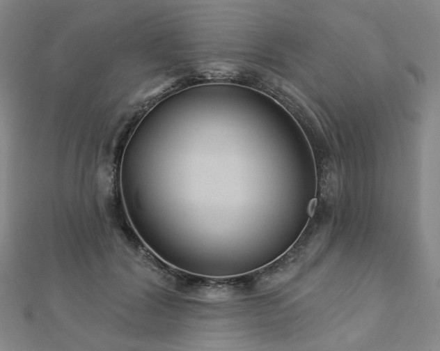 X0000112890604200908211455