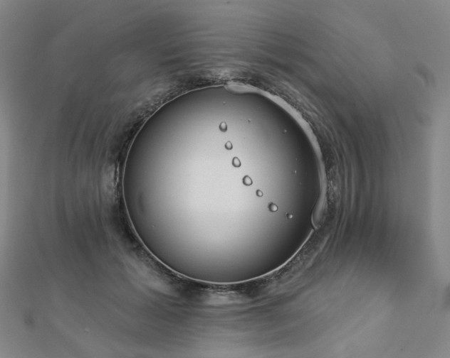 X0000112890605200908211455