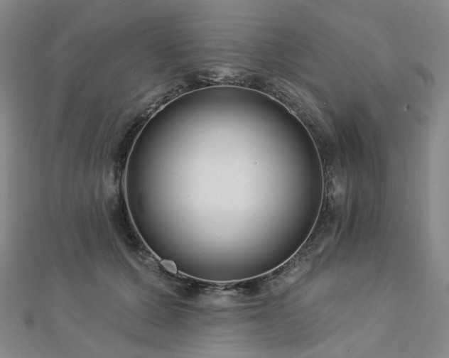 X0000112890607200908211455