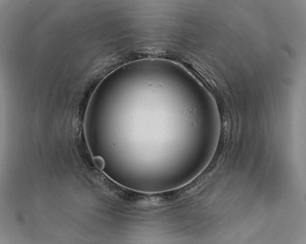 X0000112890609200908211455
