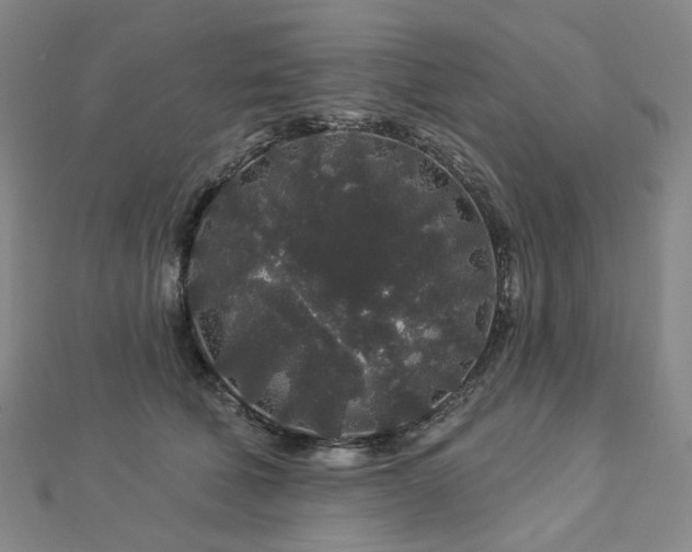 X0000112890610200908211455