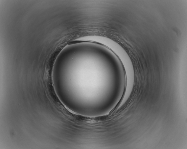 X0000112890611200908211455