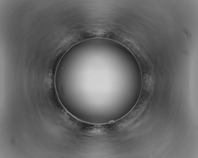 X0000112890612200908211455