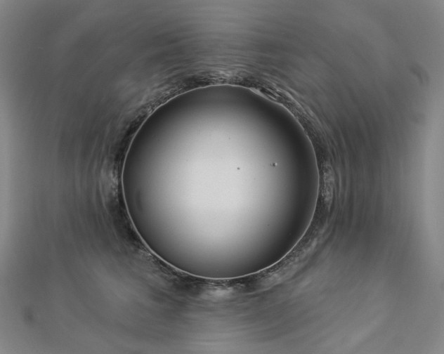 X0000112890613200908211455