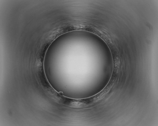 X0000112890614200908211455