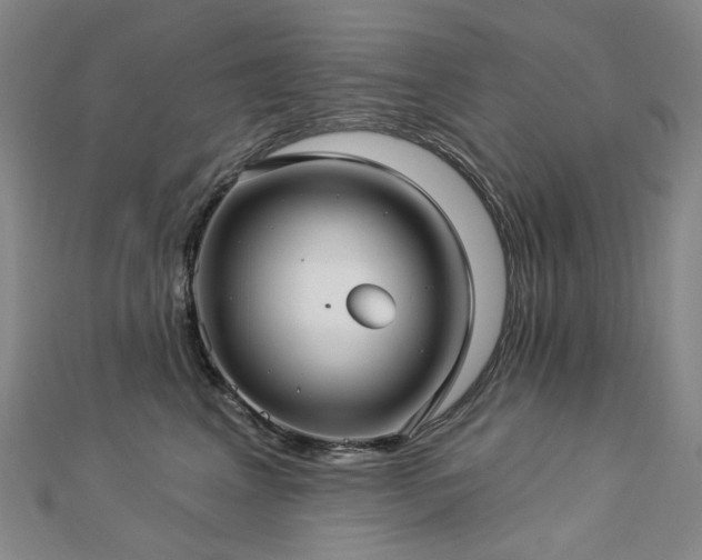 X0000112890617200908211455