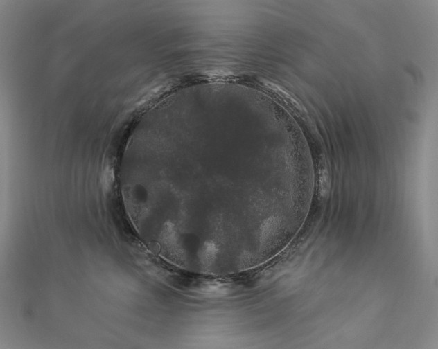 X0000112890618200908211455