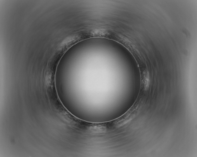 X0000112890619200908211455