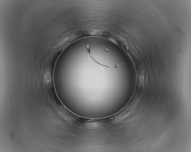 X0000112890620200908211455