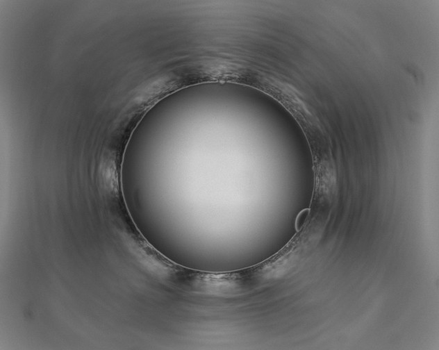 X0000112890622200908211455