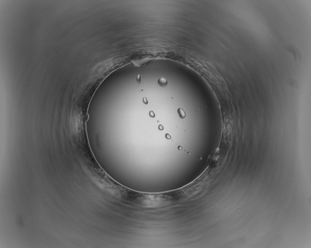 X0000112890623200908211455