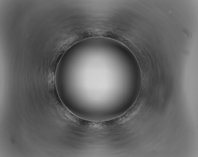 X0000112890624200908211455