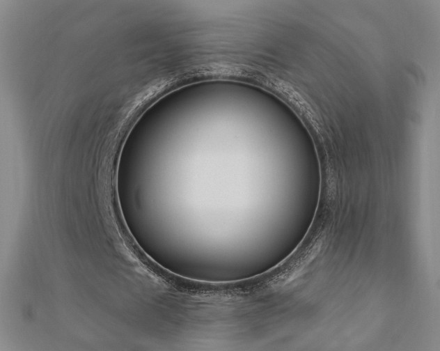 X0000112890625200908211454