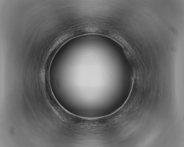 X0000112890626200908211454