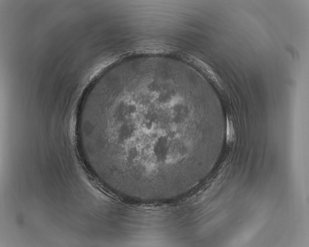 X0000112890627200908211454