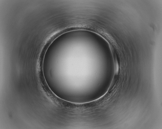 X0000112890628200908211454