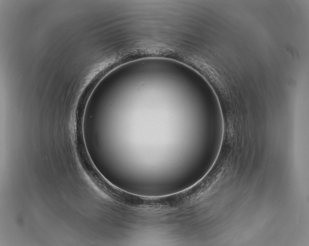X0000112890630200908211454