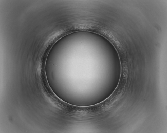 X0000112890631200908211454