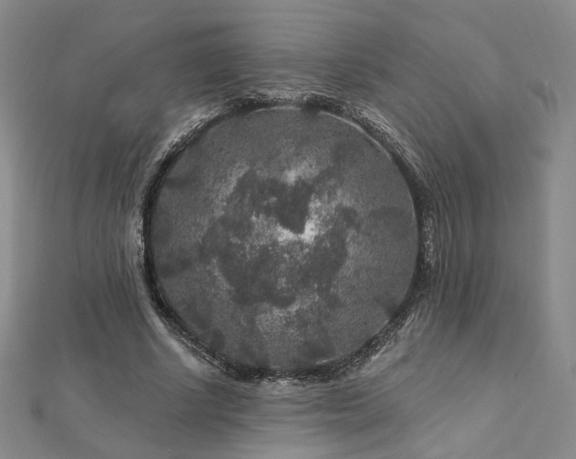 X0000112890634200908211454