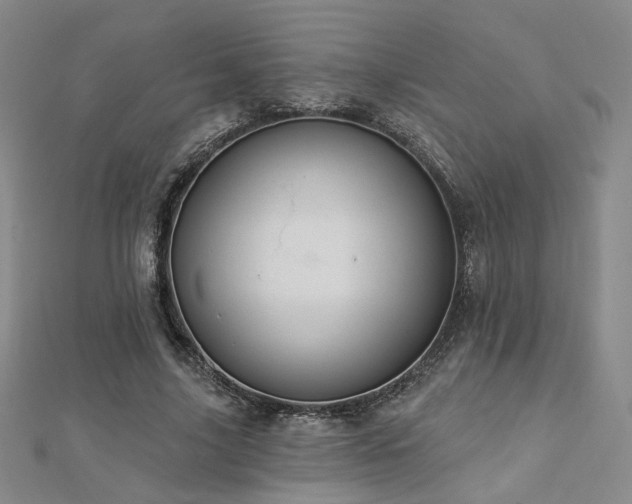 X0000112890635200908211454
