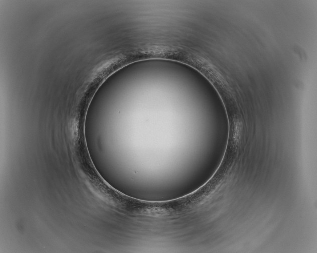 X0000112890636200908211454