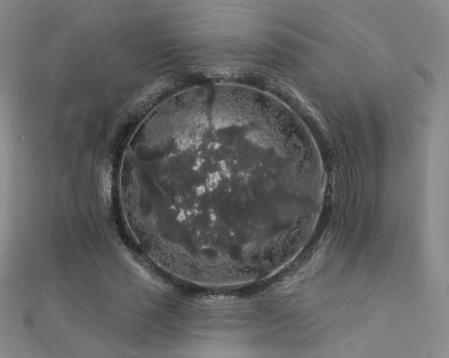 X0000112890637200908211454