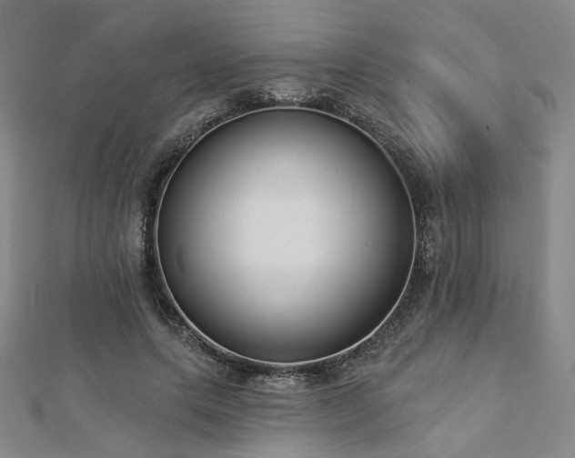 X0000112890639200908211454