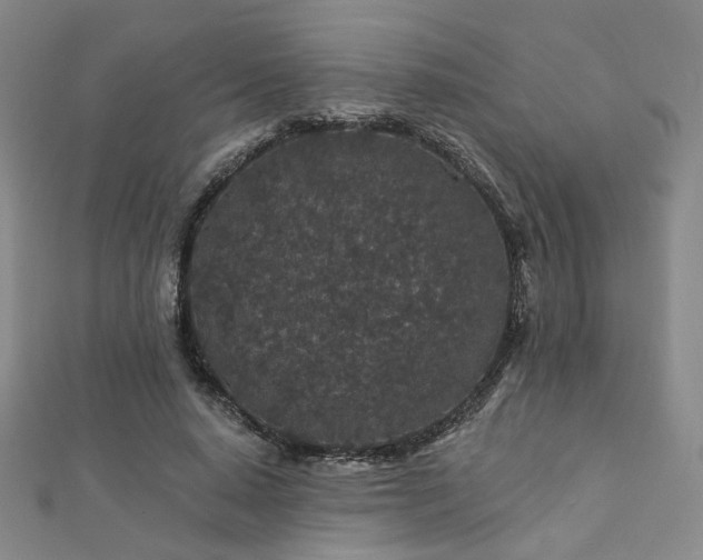X0000112890640200908211454