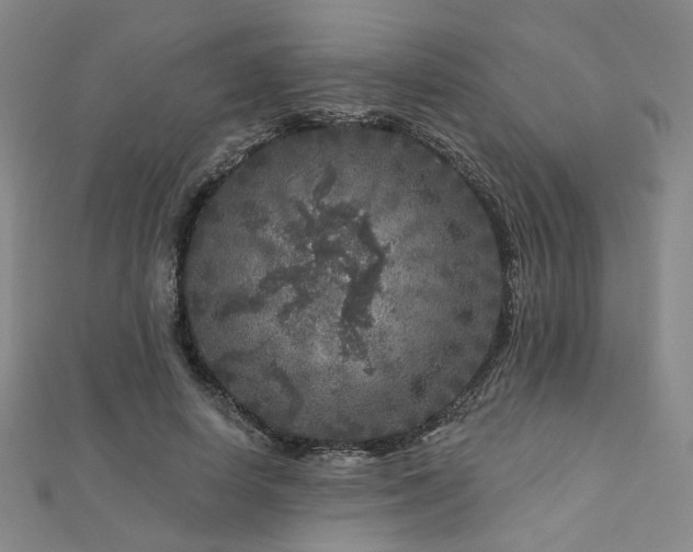 X0000112890642200908211454