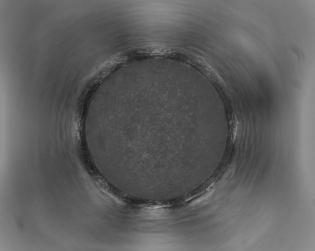 X0000112890643200908211454
