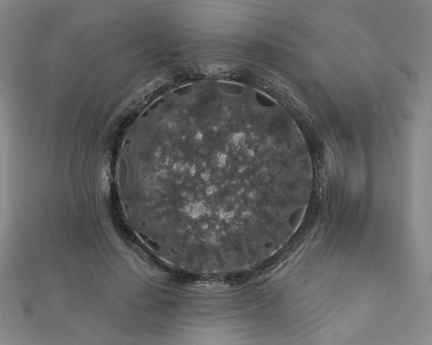 X0000112890644200908211454