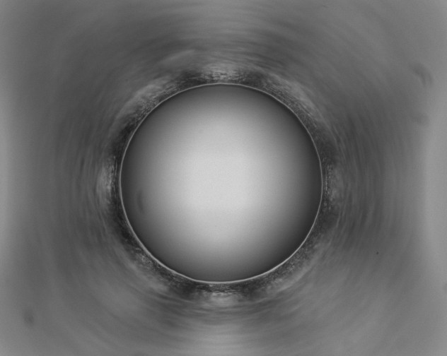 X0000112890645200908211454
