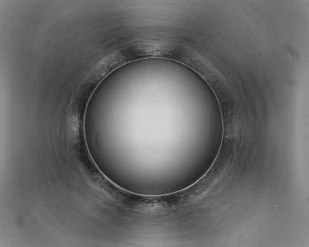 X0000112890646200908211454
