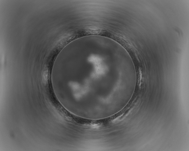 X0000112890647200908211454